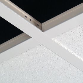 Gypsum Grid Ceiling
