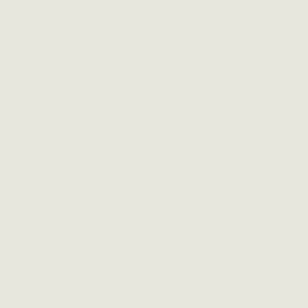 Stone White <br> S01