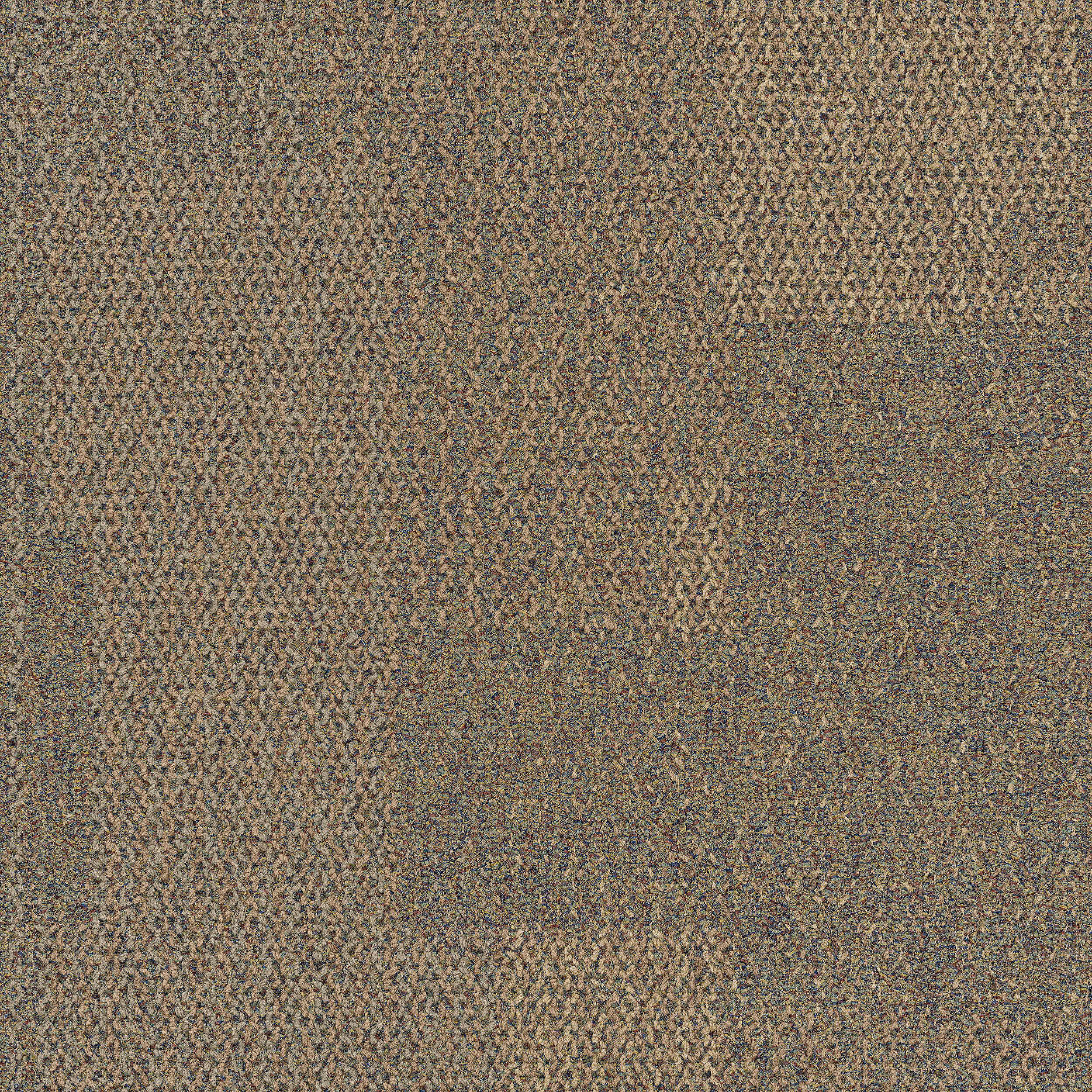 Sesame